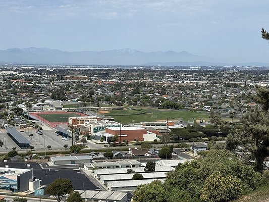 IMG 0743 Large IMG 0743 Large