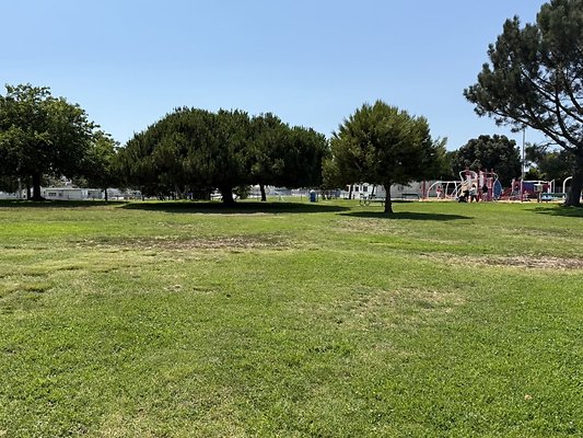 IMG 0763 Large IMG 0763 Large