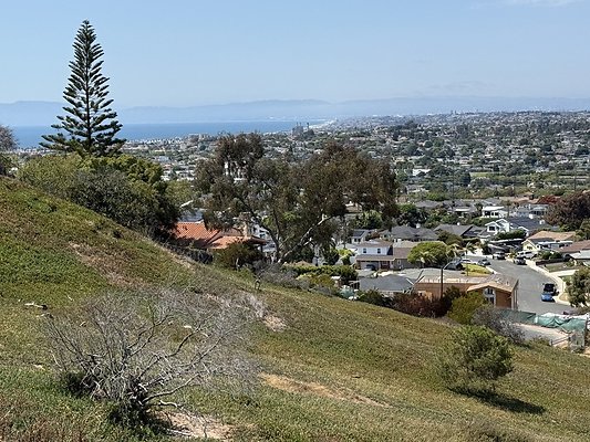 IMG 0746 Large IMG 0746 Large