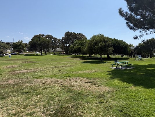 IMG 0735 Large IMG 0735 Large