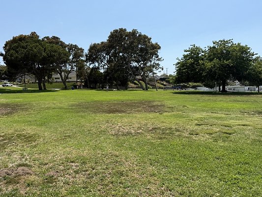 IMG 0764 Large IMG 0764 Large