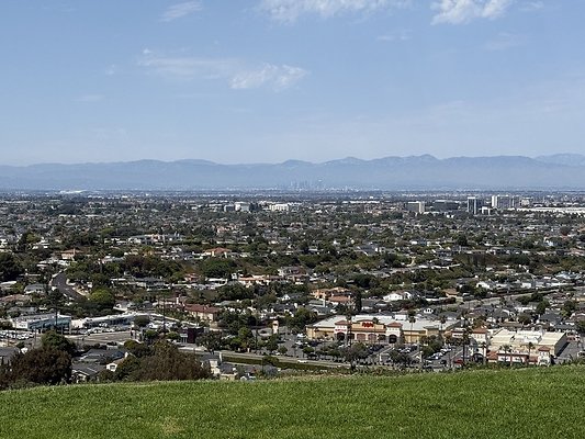 IMG 0736 Large IMG 0736 Large