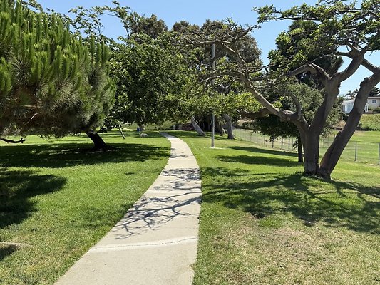 IMG 0758 Large IMG 0758 Large