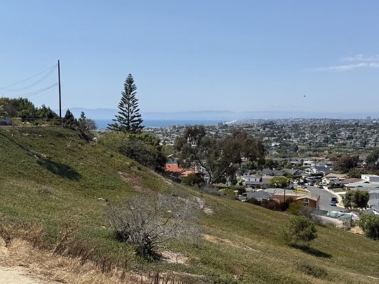 IMG 0739 Large IMG 0739 Large