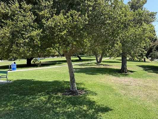 IMG 0752 Large IMG 0752 Large