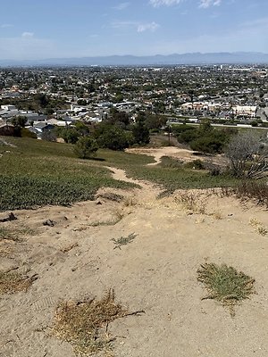 IMG 0749 Large IMG 0749 Large