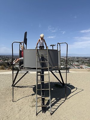 IMG 0772 Large IMG 0772 Large