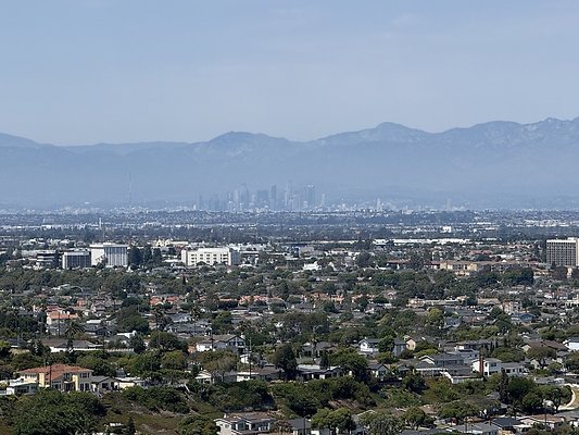 IMG 0742 Large IMG 0742 Large