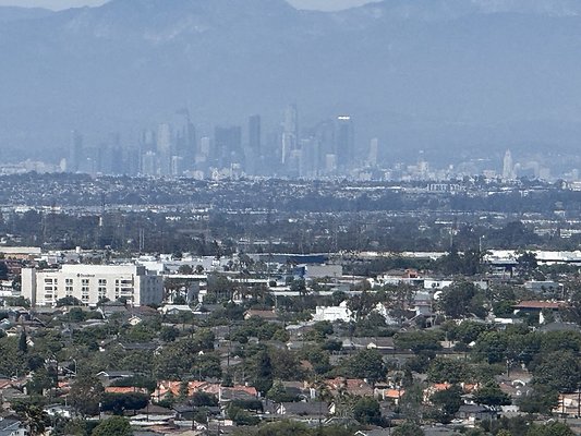 IMG 0737 Large IMG 0737 Large