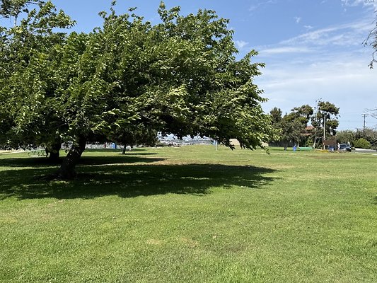 IMG 0760 Large IMG 0760 Large