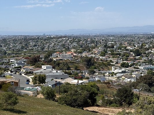 IMG 0745 Large IMG 0745 Large