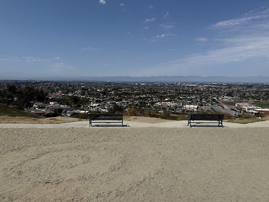 IMG 0773 Large IMG 0773 Large