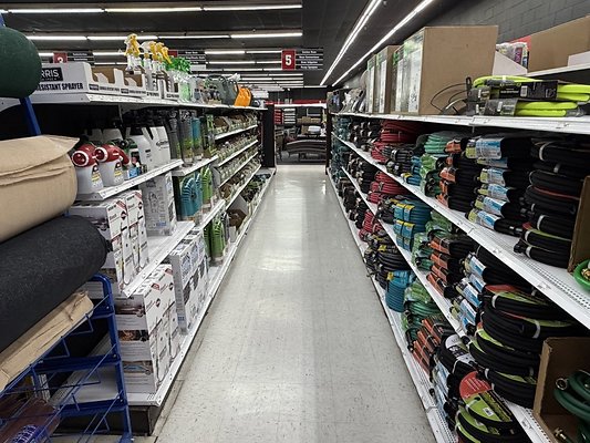 IMG 4828 Large IMG 4828 Large