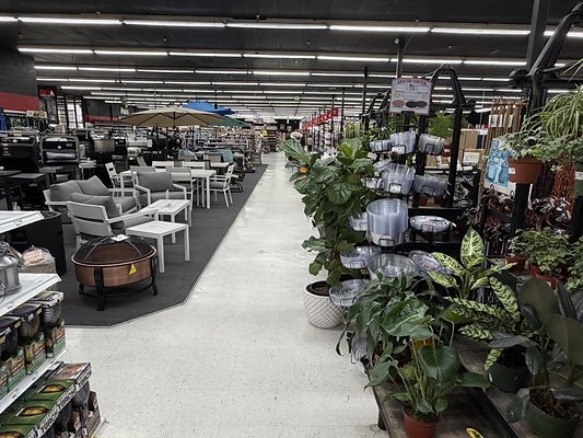 IMG 4835 Large IMG 4835 Large