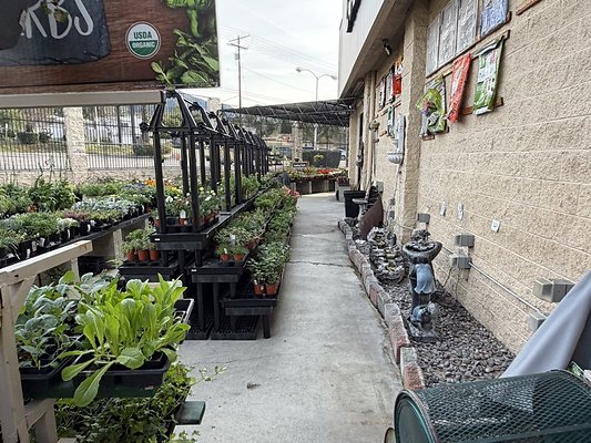 IMG 4869 Large IMG 4869 Large