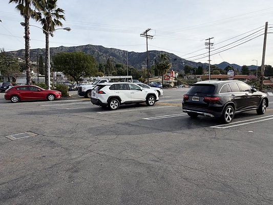 IMG 4880 Large IMG 4880 Large