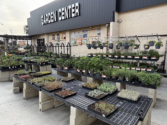 IMG 4866 Large IMG 4866 Large