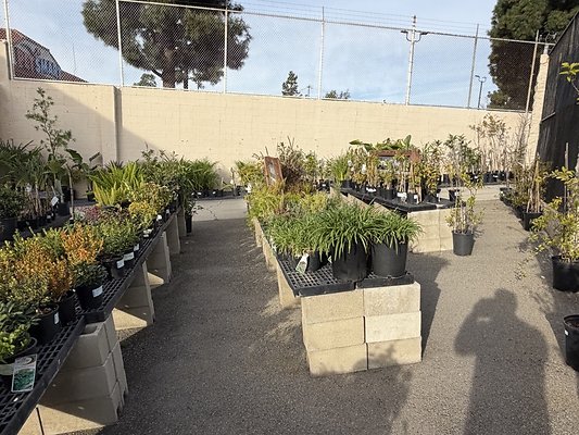 IMG 4863 Large IMG 4863 Large