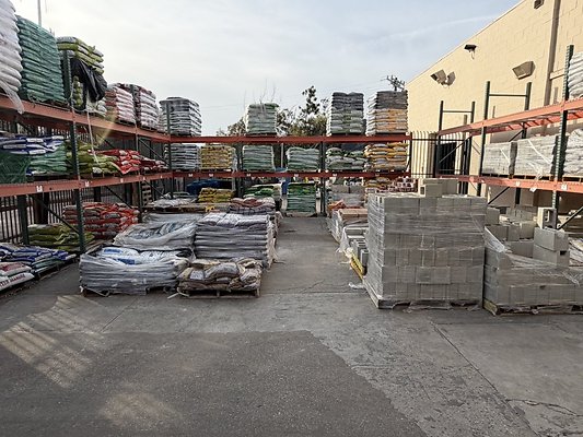 IMG 4695 Large IMG 4695 Large