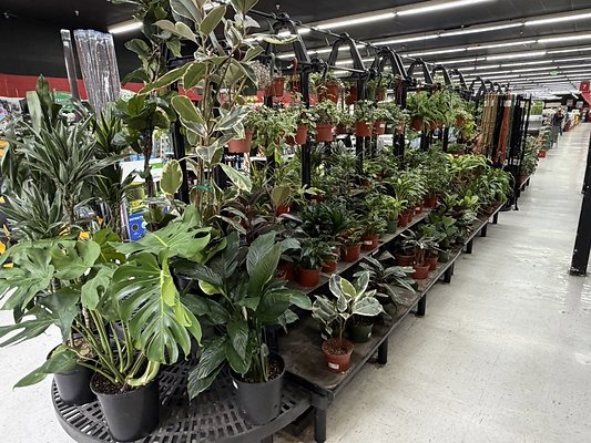 IMG 4832 Large IMG 4832 Large