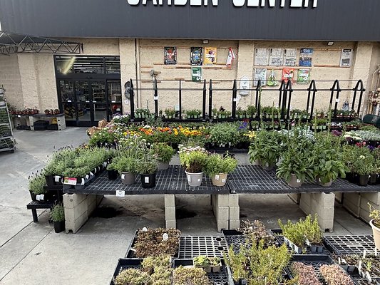 IMG 4862 Large IMG 4862 Large