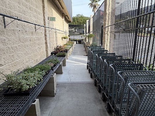 IMG 4853 Large IMG 4853 Large