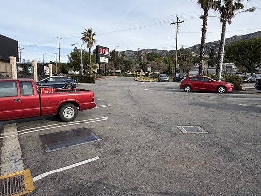 IMG 4881 Large IMG 4881 Large