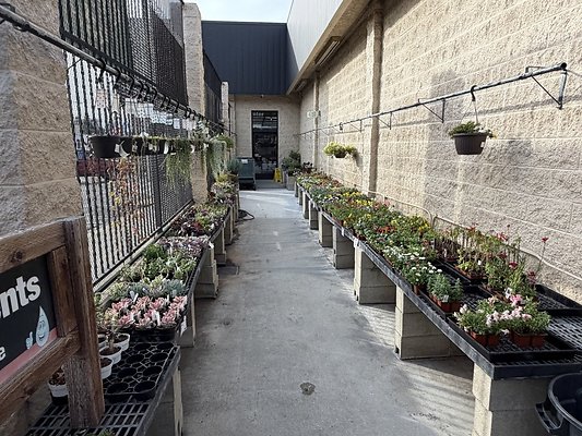 IMG 4873 Large IMG 4873 Large