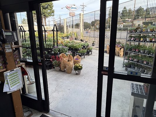 IMG 4856 Large IMG 4856 Large