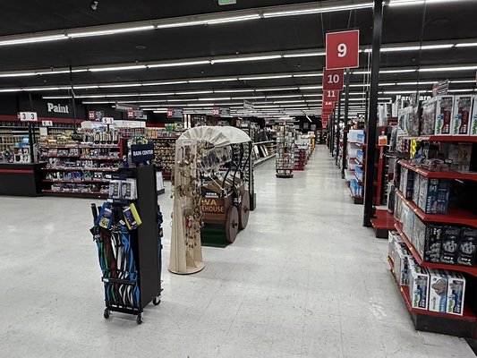 IMG 4797 Large IMG 4797 Large