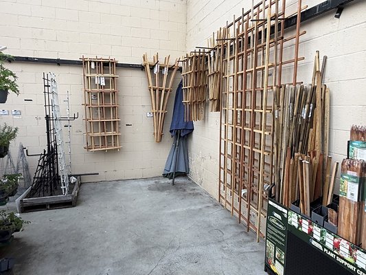 IMG 4868 Large IMG 4868 Large