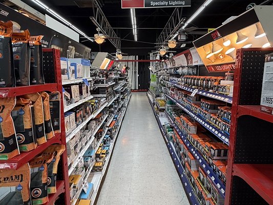 IMG 4731 Large IMG 4731 Large