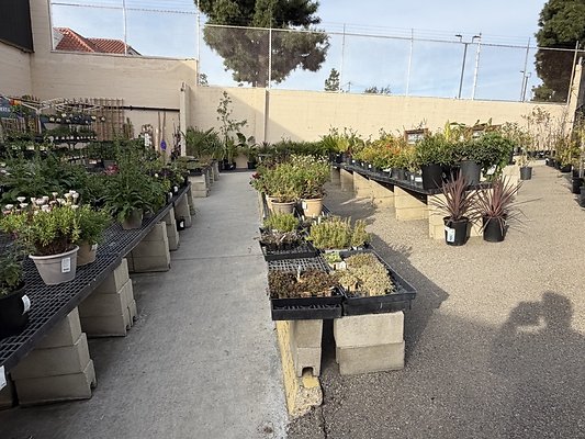 IMG 4860 Large IMG 4860 Large