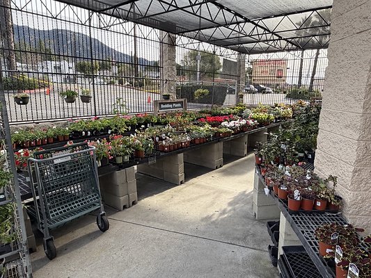 IMG 4858 Large IMG 4858 Large