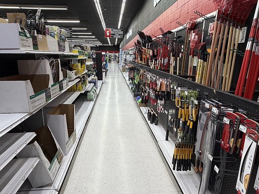 IMG 4829 Large IMG 4829 Large