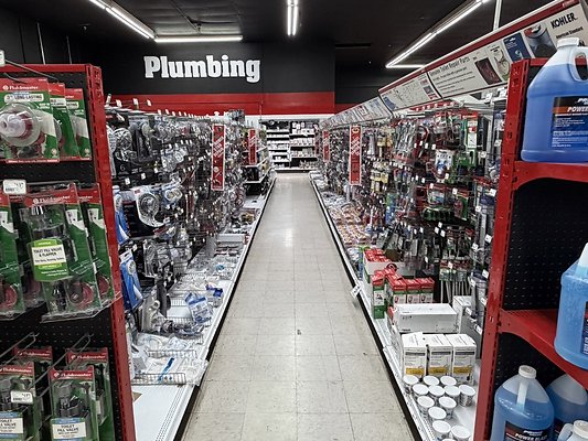 IMG 4775 Large IMG 4775 Large