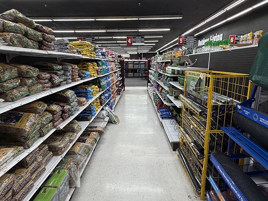 IMG 4827 Large IMG 4827 Large