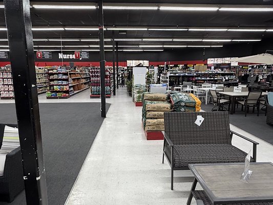 IMG 4808 Large IMG 4808 Large