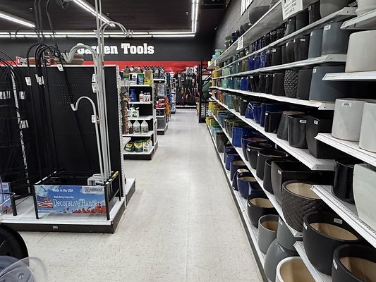 IMG 4823 Large IMG 4823 Large