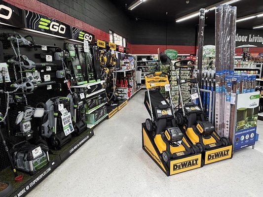 IMG 4833 Large IMG 4833 Large