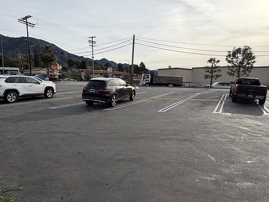 IMG 4878 Large IMG 4878 Large