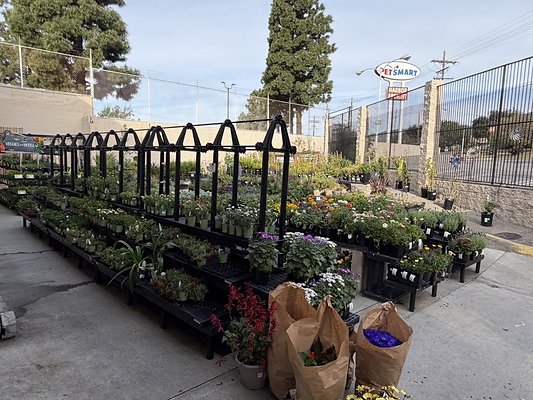 IMG 4857 Large IMG 4857 Large