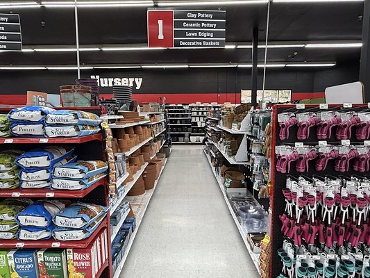 IMG 4821 Large IMG 4821 Large