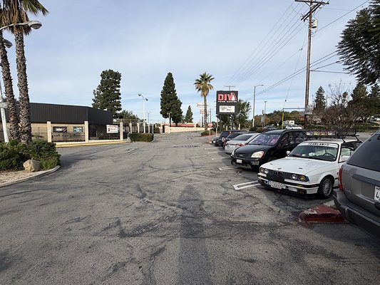 IMG 4652 Large IMG 4652 Large