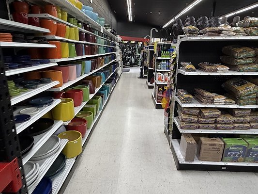 IMG 4831 Large IMG 4831 Large