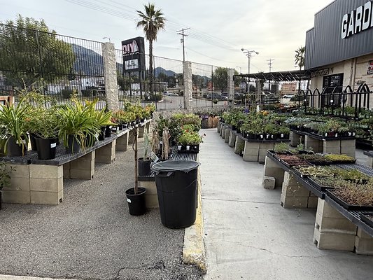 IMG 4867 Large IMG 4867 Large