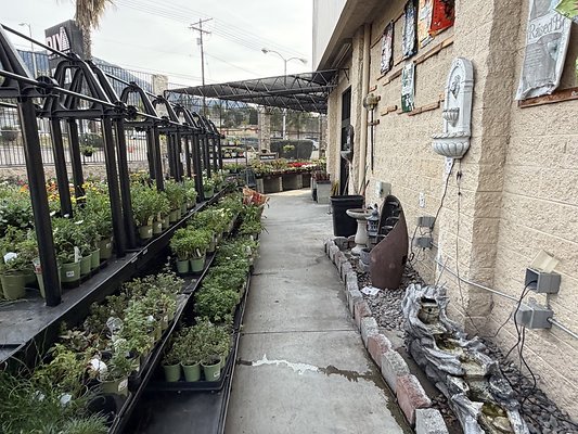 IMG 4870 Large IMG 4870 Large