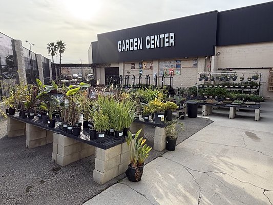 IMG 4864 Large IMG 4864 Large