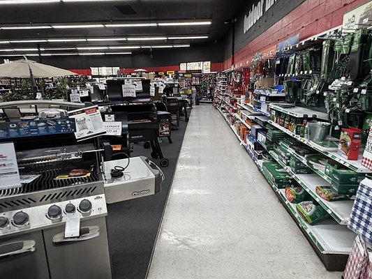 IMG 4843 Large IMG 4843 Large