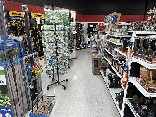 IMG 4834 Large IMG 4834 Large